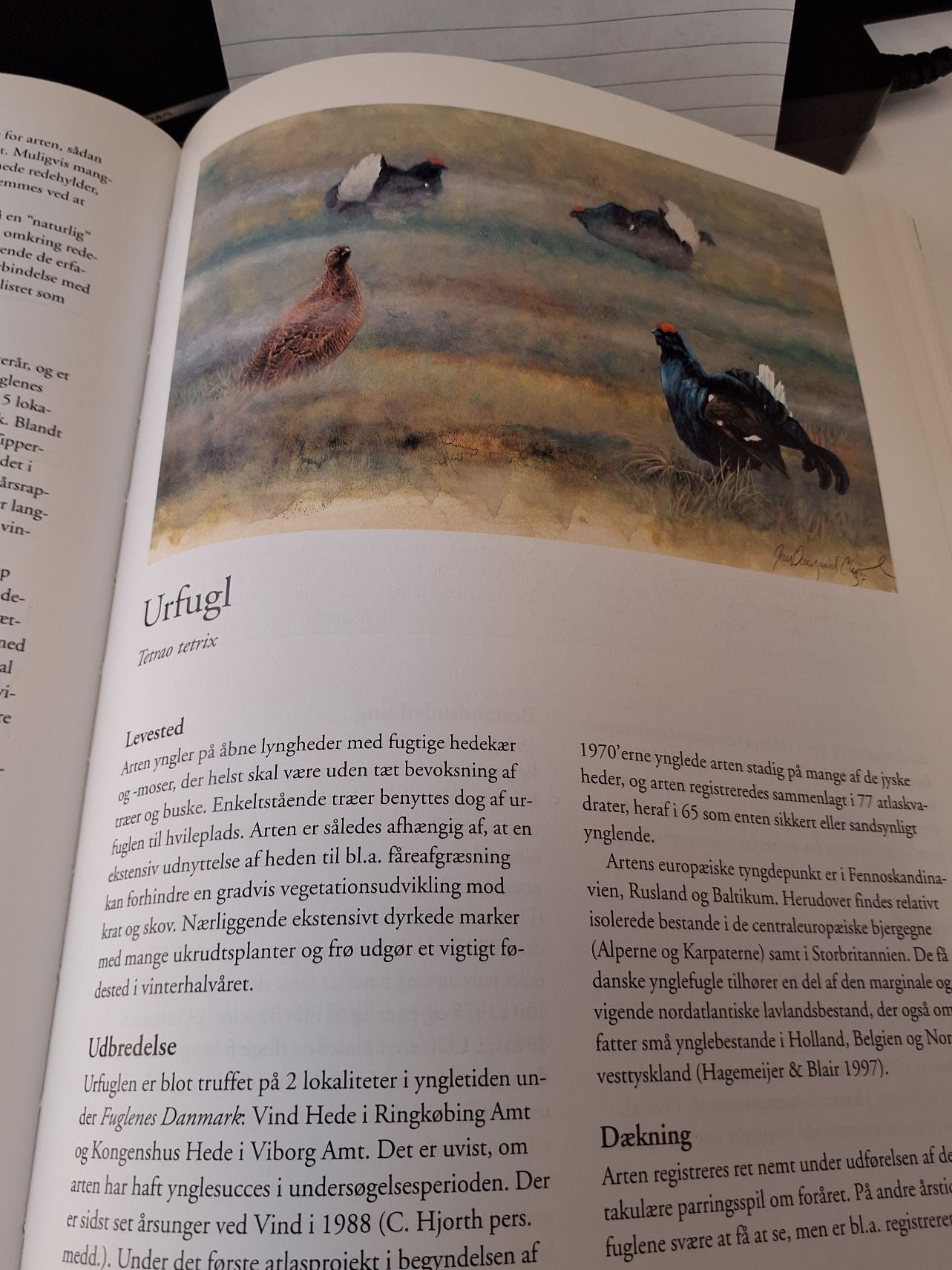 Fuglenes Danmark